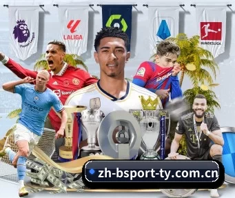 B体育 APP(BSports)